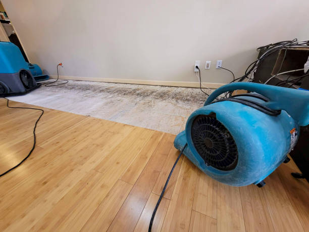 Professional Structural Drying technician working in Wynnewood, OK